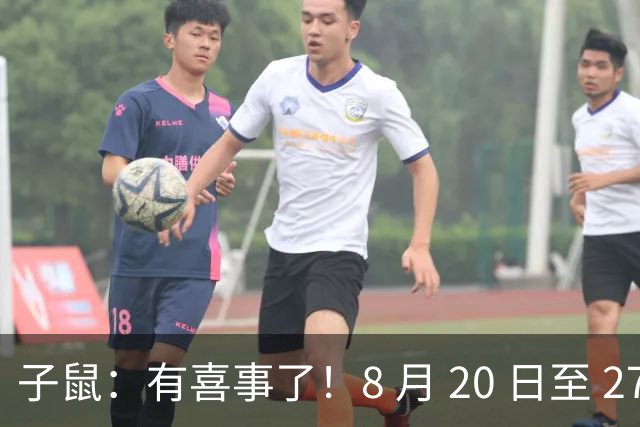 子鼠：有喜事了！8 月 20 日至 27 日，一生中最大的五桩好事找上你