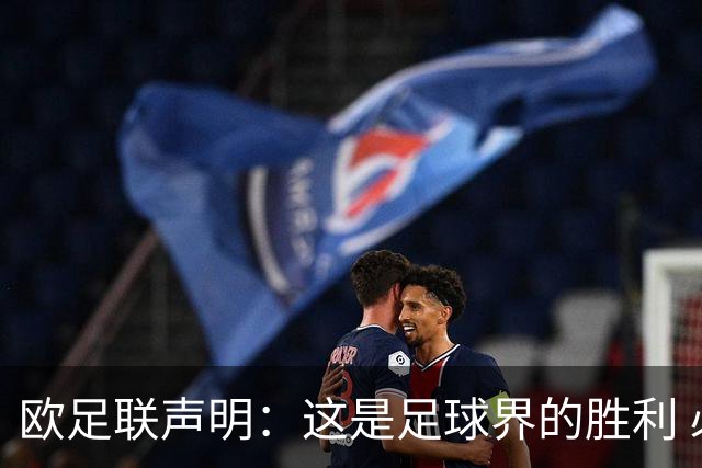 欧足联声明：这是足球界的胜利 必须查明责任人并追究责任