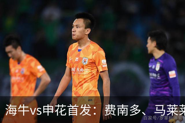 海牛vs申花首发：费南多、马莱莱先发 吴曦出战