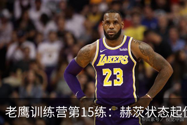 老鹰训练营第15练：赫茨状态起伏，史密斯与莱蒙伤愈回归