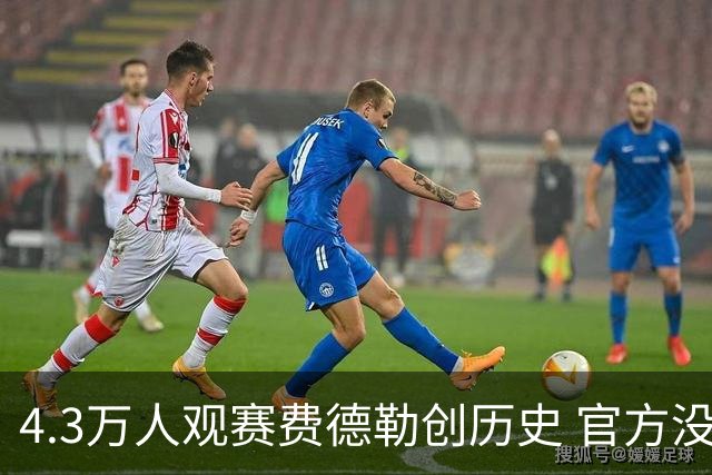 4.3万人观赛费德勒创历史 官方没钱无缘上榜吉尼斯